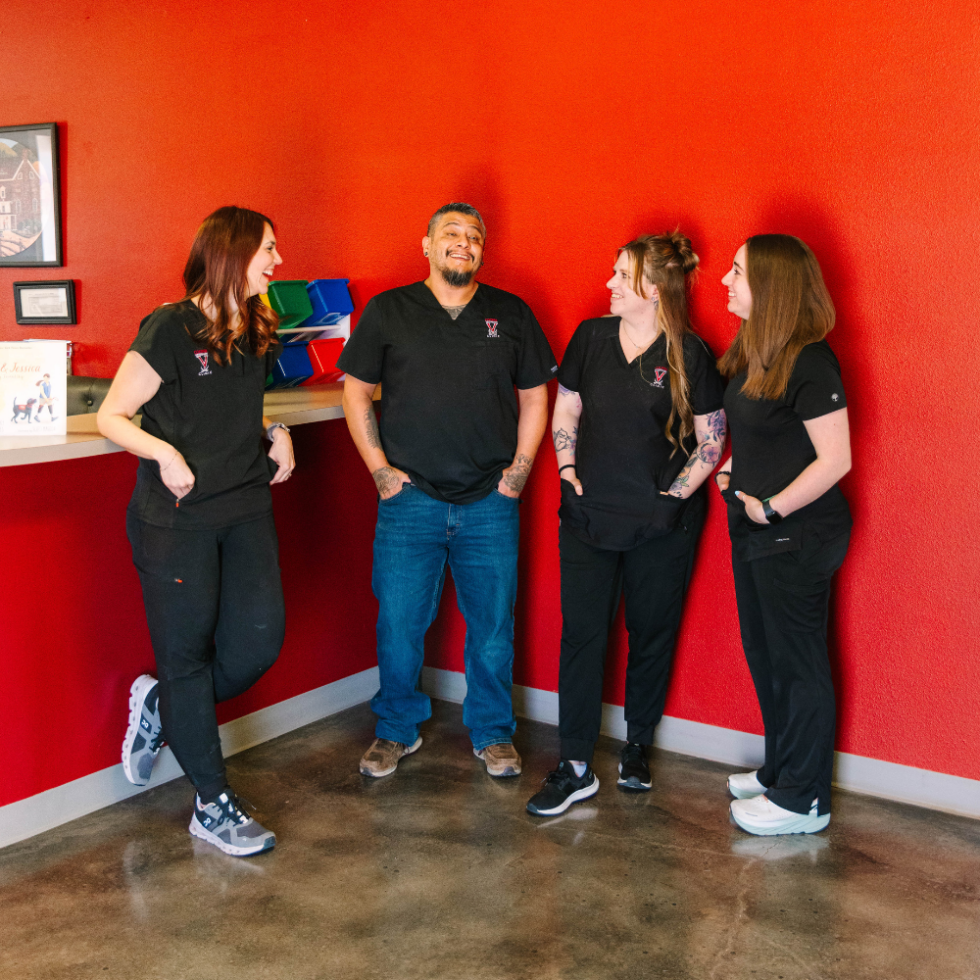 Veterinarian In Lubbock, TX 79423 Cooper Veterinary Clinic